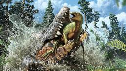 Timsahın karnından dinozor çıktı!