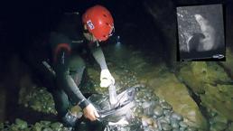 Fok mağaralarını çöplüğe çevirdiler