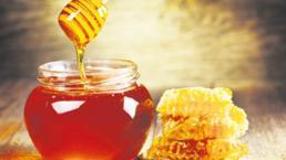 Girdi maliyetleri artan arıcılar uyarıyor: Bal mı, şurup mu?