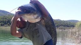 Gölde yakaladığı dev yayın balığını sırtında zor taşıdı