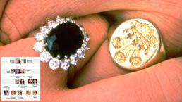 Kraliçe II. Elizabeth öldü! Kraliyet Ailesi soyağacı ve tahtın varisleri