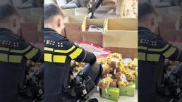 Hollanda’dan oyuncak travma ayıcıkları