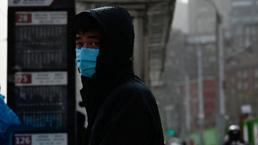 Çin'de korkulan oldu! Dünyada yeni alarm: H3N8