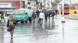 Sünger şehir modeli