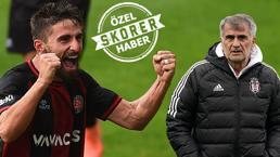 Beşiktaş'tan Fabio Borini bombası! Teklifin detayları ortaya çıktı