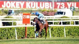 97. Gazi Koşusu'nda zafer Urfa Aslanı'nın! İşte kazandığı ödül