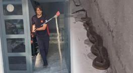 3 buçuk metrelik dev yılan paniği! Apartmandan böyle çıkarıldı