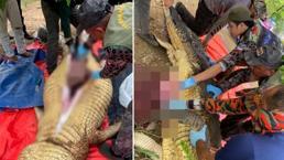 Korkunç son! Cesedi timsahın içinden çıkarıldı, ailesi her şeyi izledi