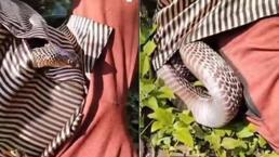 Koynundan yılan çıktı! Kan donduran saniyeler