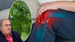 İbrahim Saraçoğlu tarifi verdi! Uyutmayan eklem ağrılarını 1 ayda söküp atan çınar kürü