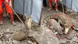 'Sesler duyuyoruz' diyen mahalleliye şok! Duvarı delip dışarı çıktılar