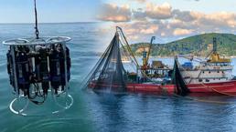 Balıkçılık tehlikede! Deniz suyu yüzey sıcaklıklarında korkutan artış