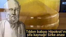 Tıbbın babası Hipokrat yüzyıllar önce önermiş: Yüzyıllık şifa kaynağı sirke anası! Her derde deva oluyor