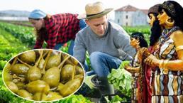 Sümerlerin vazgeçemediği küçük vitamin deposu! Çözemediği sorun neredeyse yok, çok etkili