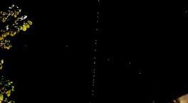 Starlink Türkiye semalarında! Görenler telefonlarına sarıldı