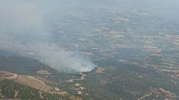 İzmir Ödemiş'teki yangın kontrol altına alındı