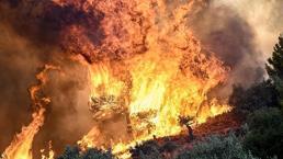 Yunanistan'ı şoke eden bilanço! Ormanda 18 kişinin cesedine ulaşıldı