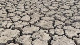 Bölgenin göz bebeğiydi! Kuraklık nedeniyle tamamen kurudu