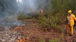 Eskişehir'de orman yangını! Vali Aksoy'dan açıklama