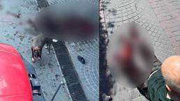 Bakırköy'de pitbull dehşeti! Yaşlı adam kanlar içinde kaldı