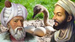 İbn-i Sina ile Mimar Sinan'ın vazgeçilmeziydi! Protein bombasıymış, şimdi bulmak imkansız