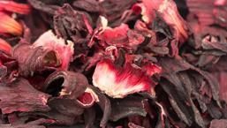 Her cilt tipine faydası var! Hibiskusla botoks etkisi yaratacak 5 ipucu