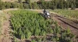 Son dakika: Bakan Yerlikaya 'Onlara nefes aldırmayacağız' diyerek duyurdu! Zehir tacirlerine '2 tonluk' ağır darbe