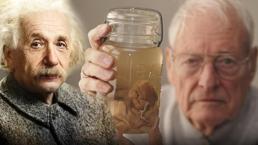 Einstein'ın beynini çaldı, 240 dilime böldü! Böylesi ancak filmlerde yaşanır