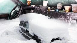 Bulunduğunda bir deri bir kemikti! Eksi 30 derecede 2 ay nasıl hayatta kaldı?