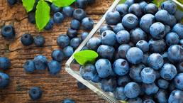 Sağlık için yeşil çay için! Binlerce diyetisyen birleşti, 5 popüler besini buldu