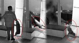 Berber çırağından kediye '5 dakika 22 saniyelik' işkencede karar! 