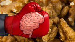 Ceviz tüketmeyi gerektiren 6 çok önemli neden! Fil gibi bir hafıza için her gün şart