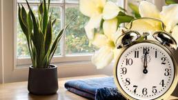 Alarm gibi çalışıyor! Burun kuruluğunu yok ederken kirli havayı temizliyor