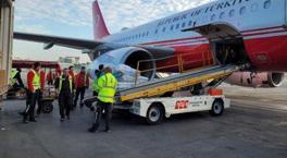 Gazze'ye gönderilen yardımlar! Bakan Koca: İnsani sorumluluğumuz burada bitmiyor