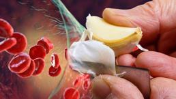 Kandaki kiri çamaşır suyu gibi söküp atıyor! Kolesterol düzenleyen damar dostu besinler