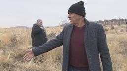 Ankara'da sokak köpekleri küçük çocuğa saldırdı! Durumu ağır