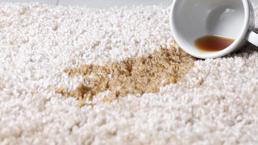 Halıdan çay lekesi nasıl çıkar? 1 çay bardağı lekeyi kökünden kazıyor