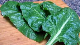 Pazının faydalarını İbrahim Saraçoğlu açıkladı! Yoğurtla tüketince çok etkili