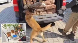 Uyuşturucu satıcılarına geçit yok! 434 kişi yakalandı