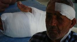 72 yaşındaki çoban dehşeti yaşadı! 'Önce koyunlara sonra bana saldırdı'