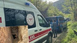 Bursa'da define faciası: 3 can kaybı