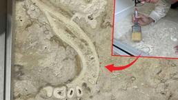 Evin yer döşemesinden insan çenesi çıktı! Şaşırtan keşif: Denizli'den Avrupa'ya gitmiş