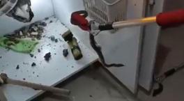 Evin mutfağında yılan operasyonu!