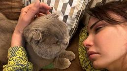 Sahneden indi, hasta kedisi Patron'a koştu!