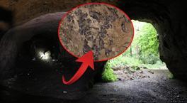 İçeride binlerce yarasa var! Korku filmi gibi: Mağaraya habersiz girmek yasak