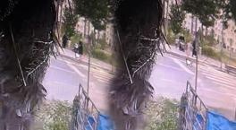 Feci kaza! Otomobil yaya geçidinde anne ve iki çocuğuna çarptı