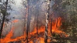 Karabük'te orman yangını kontrol altına alındı