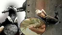 Vurulsa da uçmaktan vazgeçmedi! Sağ bacağındaki adres 194 askeri kurtardı