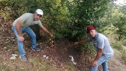 Amasya'da bulundu! Gören şaştı kaldı! Dev karınca yuvaları