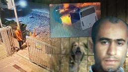 Fatih'te sahipsiz köpeklerin saldırdığı kişi hayatını kaybetti: Vücudunda elbise bile kalmamış